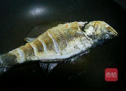 啤酒鱼的做法图解4