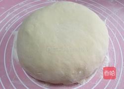 茴香蒸饺的做法图解5