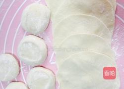 茴香蒸饺的做法图解8