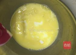 蓝莓冰激凌的做法图解4