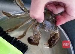 清蒸小螃蟹的做法图解2