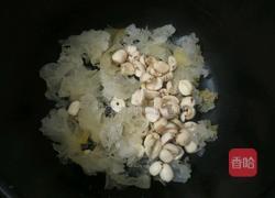 银耳莲子粥的做法图解6