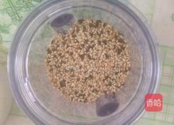 蜂蜜芝麻糕的做法图解1