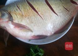 剁椒武昌鱼的做法图解1