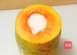 木瓜椰奶冻的做法图解4