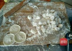 芹菜猪肉 韭菜鸡蛋水饺的做法图解5