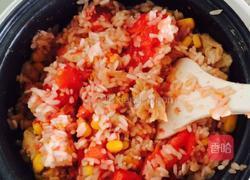 豆氏番茄焖饭(懒人饭）的做法图解13
