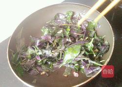 蒜蓉红皮菜一的做法图解4