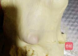 波兰种超软万用汉堡坯的做法图解4