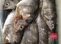 香煎泥猛鱼的做法图解1