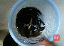 腊肉炖野生泥鳅的做法图解2