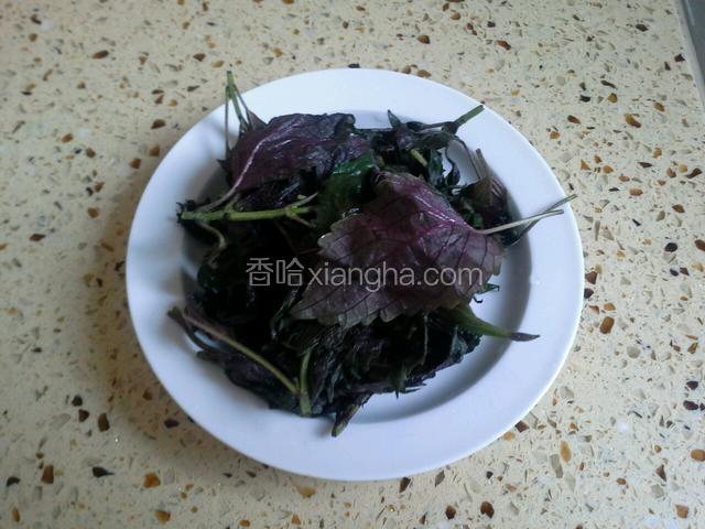紫苏洗干净