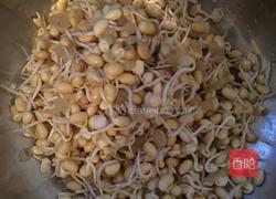 海带炖黄小豆的做法图解3