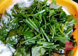 苕叶饼的做法图解4