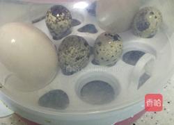 童趣鸡蛋的做法图解1