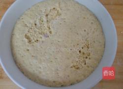 南瓜紫薯开花馒头的做法图解10