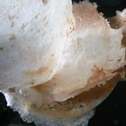 锅巴的做法[图]