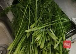 茴香苗包子的做法图解1