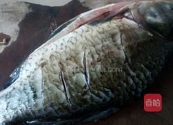 干烧鲫鱼的做法图解1