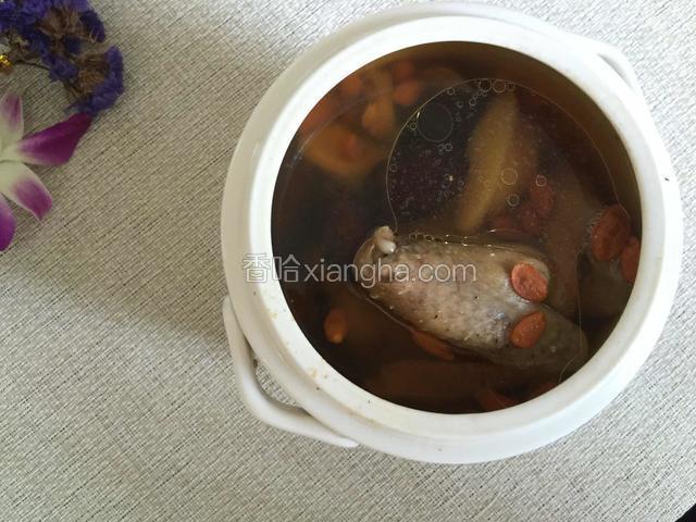 红参炖鸽子汤
