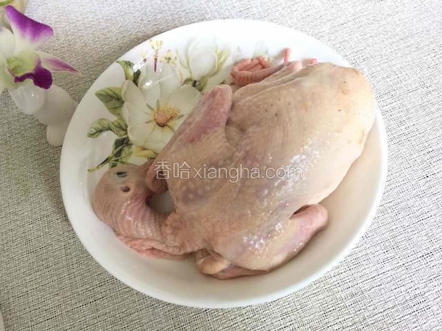 鸽子洗干净备用（炖汤一般用老鸽子）