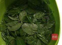 枸杞猪杂汤的做法图解2