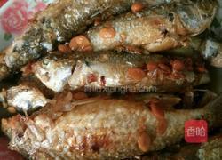 豆酱闷鱼的做法图解5