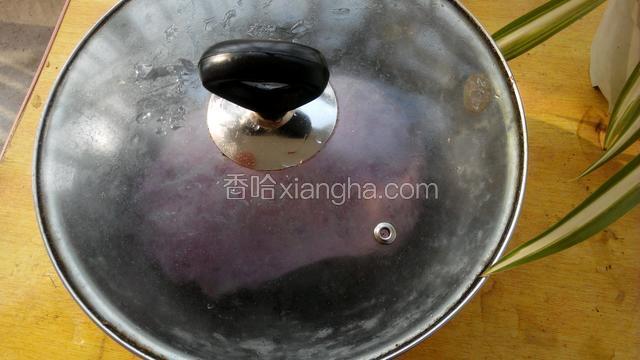 盖上锅盖发酵