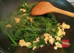 瓜尖炒蛋的做法图解3