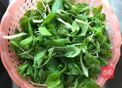 蒜泥炒小青菜的做法图解1