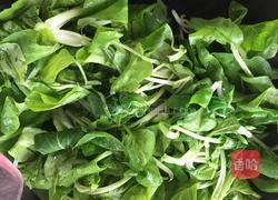 蒜泥炒小青菜的做法图解4