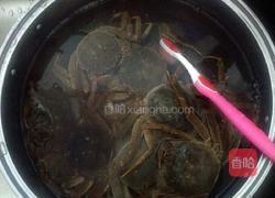 清蒸螃蟹的做法图解1