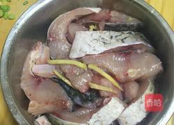 红烧鱼段的做法图解2