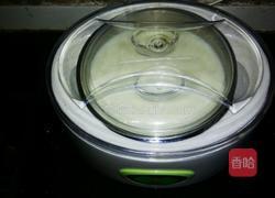 鲜奶版自制酸奶的做法图解7