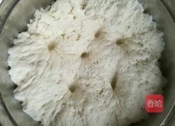 香菇猪肉馅包子的做法图解8