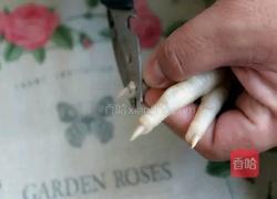 酱烧凤爪的做法图解5