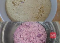 南瓜紫薯卷的做法图解6