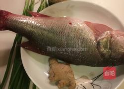 清蒸鲈鱼的做法图解1