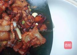 砂锅炖猪肉粉条的做法图解8