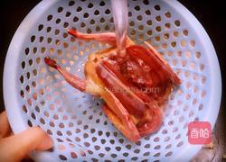 红枣桂圆炖乳鸽的做法图解1