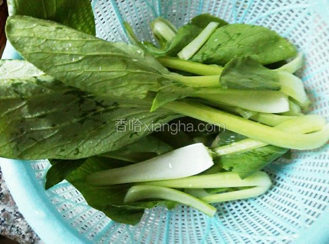 小青菜洗净
