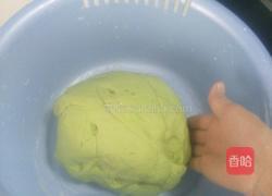 包子(酸菜肉馅菠菜汁包子)的做法图解3