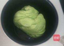 包子(酸菜肉馅菠菜汁包子)的做法图解4