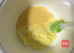 可可豆的做法图解3