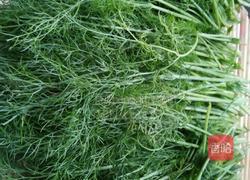 茴香苗猪肉蒸包的做法图解1