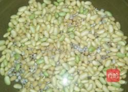 猪脚黄豆薏米汤的做法图解1