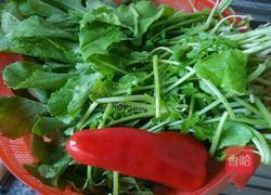 小炒萝卜叶的做法图解1