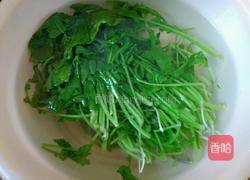 小炒萝卜叶的做法图解4