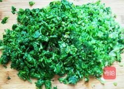 小炒萝卜叶的做法图解5