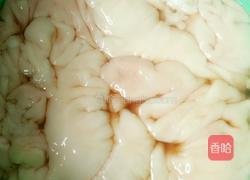 干锅小酸笋肥肠的做法图解1